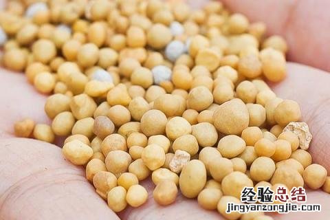 控释肥和缓释肥的区别 控释肥和缓释肥的区别在哪?