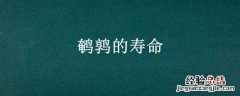 鹌鹑的寿命是多少年 鹌鹑的寿命