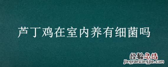 芦丁鸡可以家养吗 芦丁鸡在室内养有细菌吗