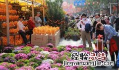重阳节的简介50字 重阳节的简介50字我的感受