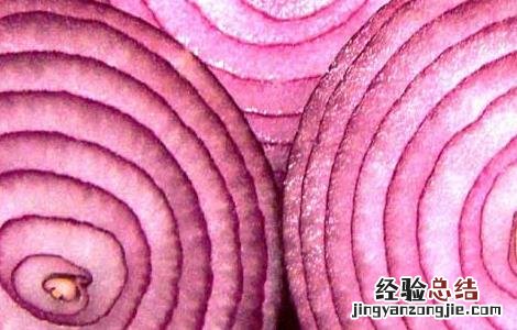 切洋葱不会流泪的方法 切洋葱不会流泪的方法 口香糖