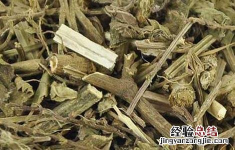 柠檬马鞭草的功效与作用禁忌 柠檬马鞭草的功效与作用
