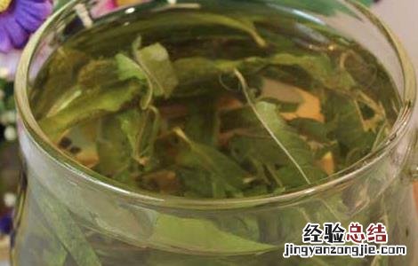 马鞭草茶的功效与作用 马鞭草茶的功效与作用及禁忌