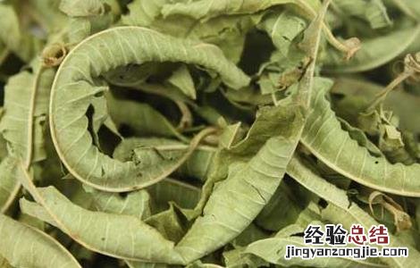 马鞭草茶的功效与作用 马鞭草茶的功效与作用及禁忌