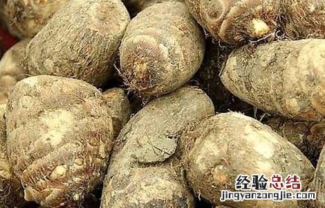 芋头怎么去皮手不痒 小芋头去皮手怎么会痒