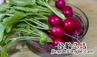 泥鳅可以和胡萝卜一起吃吗? 萝卜和泥鳅能不能一起吃