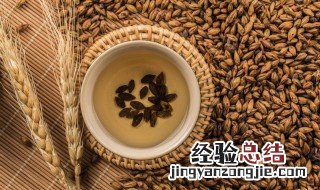 麦芽回奶怎么煮水 麦芽回奶怎么煮