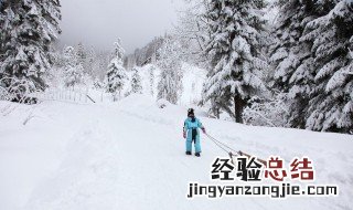 看到雪景的心情短句文案 看到雪景的心情短句