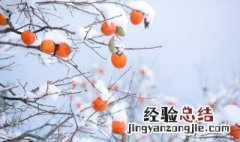 文案句子冬天 冬季文案短句