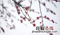 二十四节气小雪的含义是什么 二十四节气小雪的含义