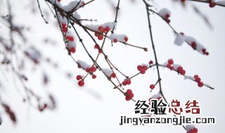 二十四节气小雪的含义是什么 二十四节气小雪的含义
