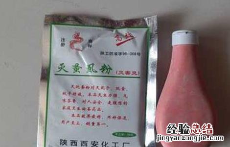 跳蚤怕什么东西??有土方法吗? 跳蚤怕什么东西