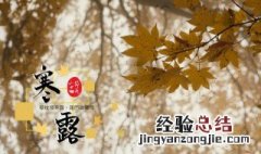 寒露美食怎么吃才养生 寒露美食怎么吃才养生健康