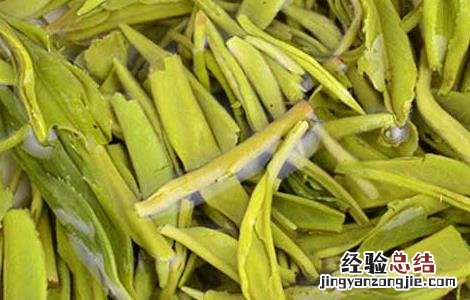 毛尖的功效与作用 信阳毛尖的功效与作用