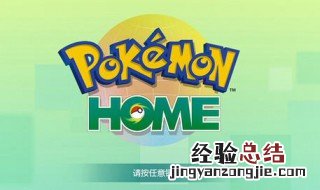 pokemon pokemon是什么意思
