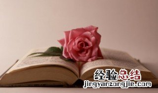 杰字怎么组词 杰字如何组词