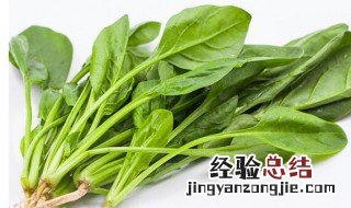 宋朝人吃火锅可以吃到菠菜吗 宋朝人吃火锅有没有菠菜吃