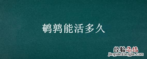 家养鹌鹑能活多久 鹌鹑能活多久