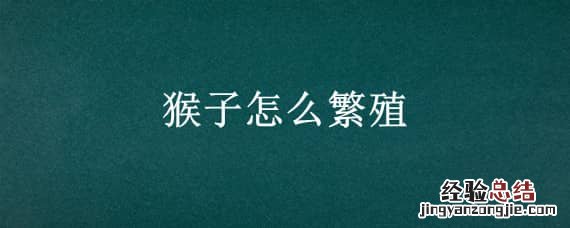 猴子怎么繁殖 野生猴子怎么繁殖