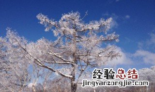 有关于冬天的优美段落 有关于冬天的优美段落摘抄