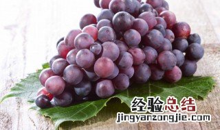 葡萄根的功效与作用及食用方法 葡萄根的功效与作用