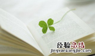 傅怎么组词 傅如何组词
