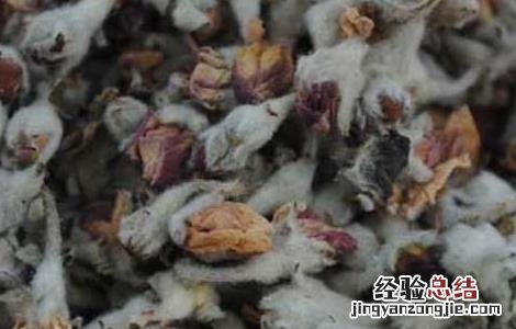 苹果花茶的功效与作用怎么吃 苹果花茶的功效与作用