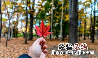 一年四季如何分几个月 一年四季怎么分几个几月了