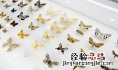 古人对蝴蝶的雅称 古人对蝴蝶的雅称单字
