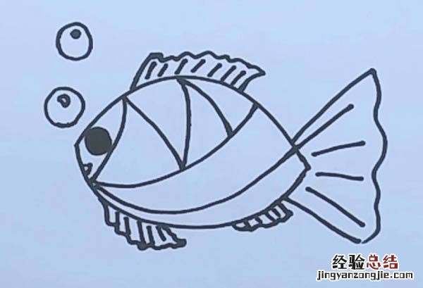鱼的简笔画 简单又好看 鱼的简笔画