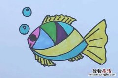鱼的简笔画 简单又好看 鱼的简笔画