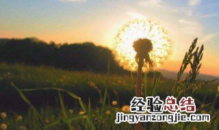 快手说说励志短语 快手励志说说句子热门