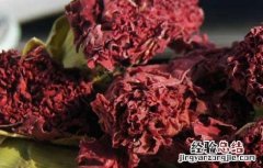 康乃馨花茶的功效与作用及禁忌 康乃馨花茶的功效与作用