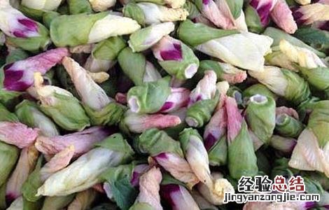 黄秋葵花茶的功效与作用 黄秋葵花茶的功效与作用黄秋葵花茶的副作用