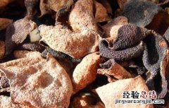 陈皮泡水可以天天喝吗 罗汉果和陈皮泡水可以天天喝吗