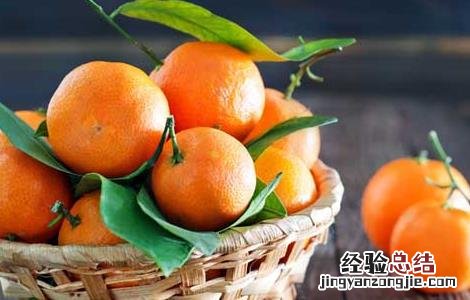 狗吃橘子吃多了会怎么样 橘子吃多了会怎么样