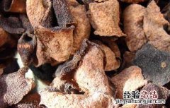 陈皮多吃有什么坏处 陈皮吃多了有好处吗