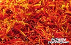 菊花枸杞藏红花茶的功效与作用 红花茶的功效与作用