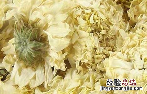 白菊花茶的功效与作用点 白菊花茶的功效与作用