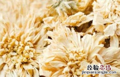 白菊花茶的功效与作用点 白菊花茶的功效与作用