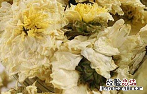 白菊花茶的功效与作用点 白菊花茶的功效与作用