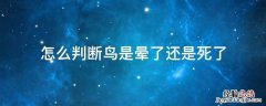 鸟晕了怎么救 怎么判断鸟是晕了还是死了