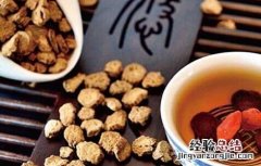 排名前十的品牌牛蒡茶 牛蒡茶哪个牌子好