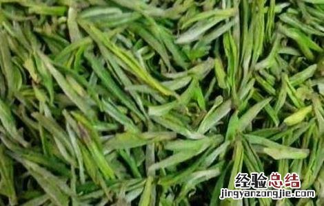 安吉白茶的功效与作用 安吉白茶的功效与作用适合什么季节喝