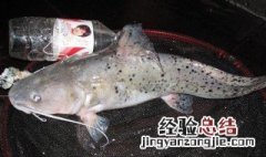 芝麻剑怎么做最好吃 芝麻剑怎么做