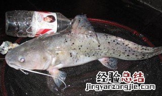 芝麻剑怎么做最好吃 芝麻剑怎么做
