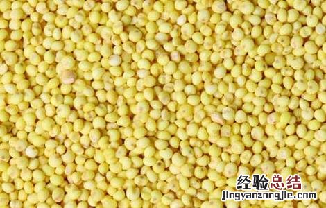 大豆异黄酮哪个牌子好 大豆异黄酮哪个牌子好 含量对比