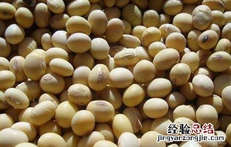 大豆异黄酮哪个牌子好 大豆异黄酮哪个牌子好 含量对比