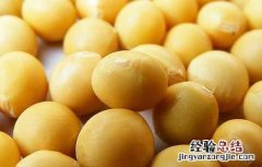 大豆异黄酮哪个牌子好 大豆异黄酮哪个牌子好 含量对比