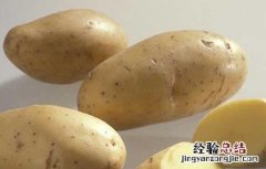 土豆去黑眼圈的方法 土豆去黑眼圈的方法图片